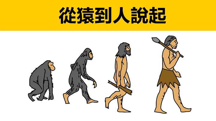 从猿到人|动画科普|人类怎么进化的|人是怎么从猿进化到人的|原始人类|森林古猿|最早的猿人|智人|原始社会怎么进化到国家的|最早的国家奴隶国家|氏族|木系氏族|人类的祖先|人类的祖先怎么进化的|古猿 - 天天要闻