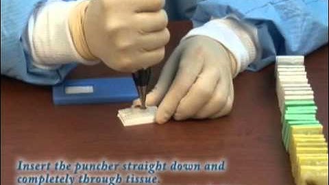 Quick-Ray Manual Tissue Microarrayer - Short Version