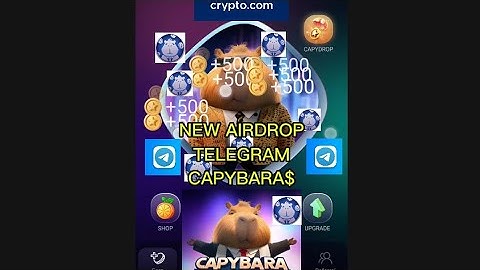 CAPYBARA$ - The NEW AIRDROP are now available on TELEGRAM (Test, features, configuration...)