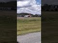 ✨LIVE✨ Side RWY14 OOL Yak52 Qantas Virgin Aus C172 Trainers #deanosaviation25live #deanosaviation25
