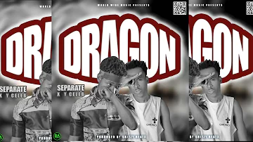 SEPARATE X Y CELEB - DRAGON - [PROD BY SNIZZYBEATX]