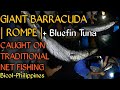 TUNA FISHING AND BARRACUDA FISHING |ACTUAL VIDEO|BLUEFIN TUNA  NET FISHING | PHILIPPINES