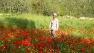 Turi̇st U Feki̇ré Be Qirram (Hüseyi̇n İle Ayhandan) Stili̇lé
