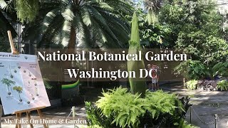 Walk With Us Through The National Botanical Garden in Washington DC