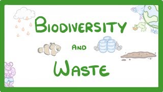 GCSE Biology - How Human Waste Reduces Biodiversity - Explained #89