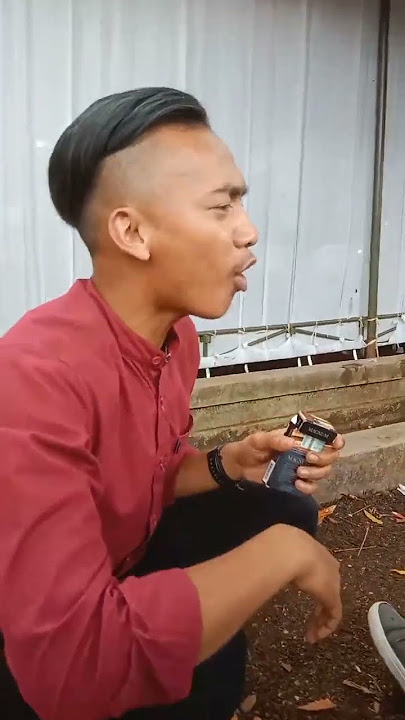 mapay roko,