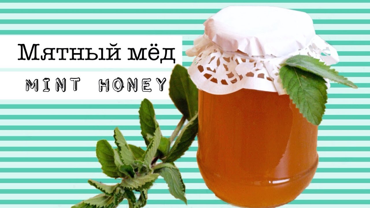 ⁣Мятный мёд из свежей мяты / Wild mint honey ♡ English subtitles