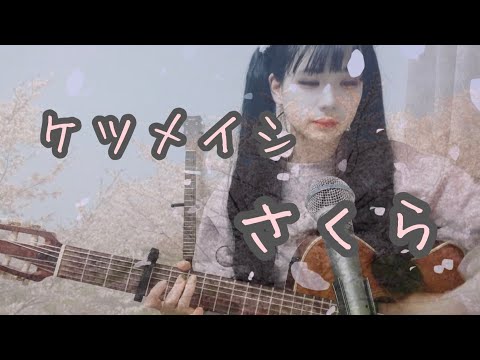さくら/ケツメイシ 弾き語りcover