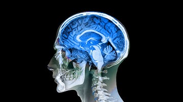 How to unf*** your brain