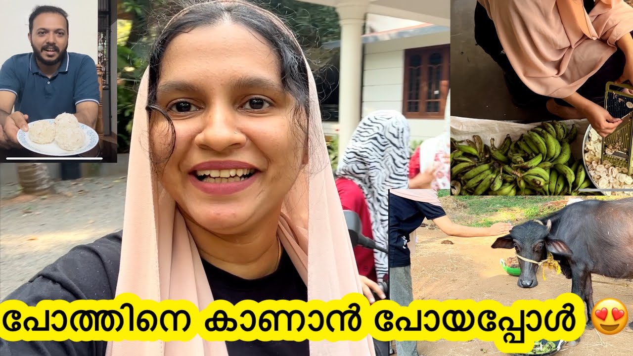 പോത്തിനെ കാണാൻ പോയപ്പോൾ 😂🥰 a day in my life 