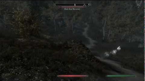 Skyrim Ice Form bug