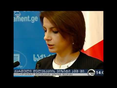 ქართული დელეგაციის ვიზიტი აშშ-ში
