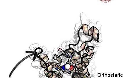 Caffeine-hA2A Adenosine Receptor Recognition Supervised Molecular Dynamics