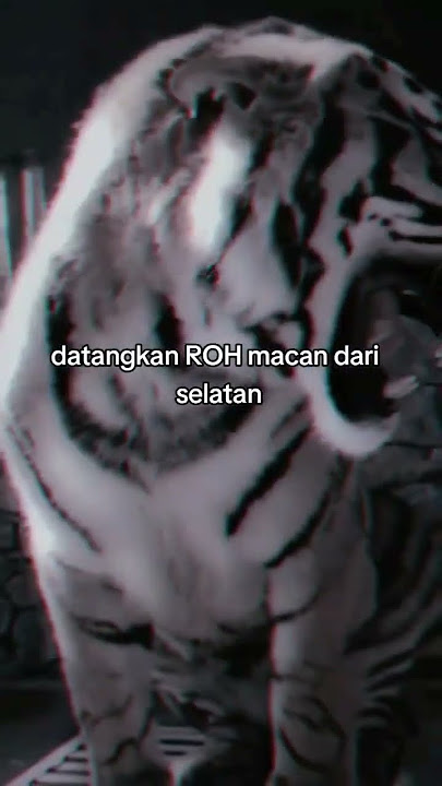 mantra ampuh mendatangkan khodam macan putih #mantra #mantrameditation #macan #macanputih