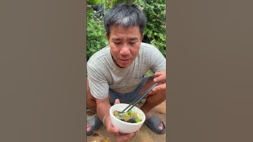 Rắn bong súng ngày mưa gió. Longvlogs