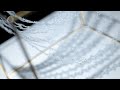 Lace Art.noA First Exhibition「貌 -かたち-」 2025.5.15-18 410gallery