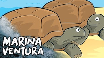 Will climate change make animals extinct?