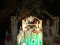 Lalki divani lage papa ji papa ji #video #wedding #song #yaari #status