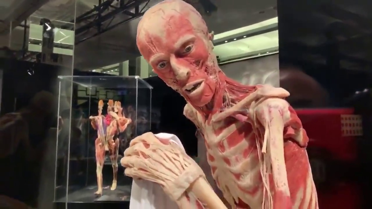 中国大连哈根斯到悉尼巡展2019年1月18