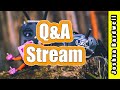 Q&A Livestream - January 3, 2021