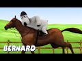 Bernard Bear | Horse Riding! AND MORE | Cartoons for Children | Full Episodes