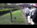 市川市動植物園 ミニ鉄道 の動画、YouTube動画。