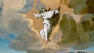 Meditaciones. 05/17/2026