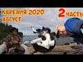 Проект Карелия 2020. Осень часть 2.