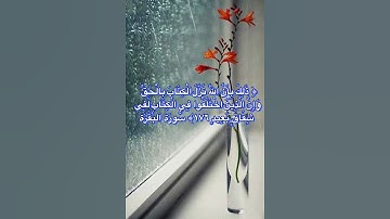 #خلفيات #دينية #سورة #البقرة #آية #176#راحة#نفسية#هدوء#رضا#من#الله#الباقيات # الصالحات