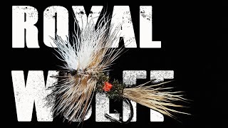 👑 Royal Wulff - Fly Tying with G. Zingaro ✂️ screenshot 4