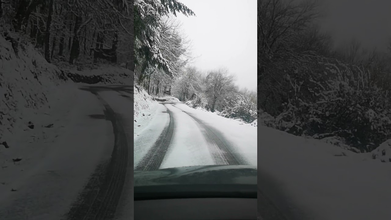Nieve en A Fonsagrada ❄️ 💛  Telegram Galicia Senderismo ✨hts/tm/galiciasenderismo✨ nsagam@generismo