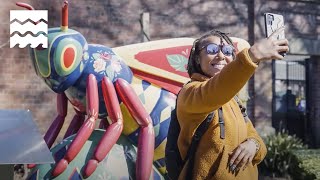 The Missing Pieces Project: Share Your View of Unique Places