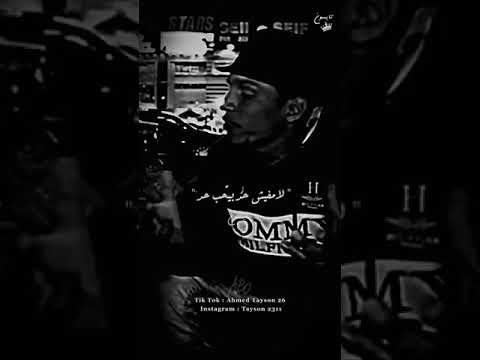 سلمان مفيش سلكان