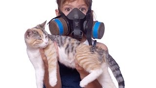 How to Reduce Cat Odor & Cat Poop Odor | Cat Care