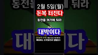 &quot;2월 5일 월요일! 대박이다! 동전 2개 여기에 둬라! 황금돼지가 춤추는 날이다&quot; [오늘…