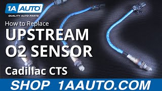 AutoDN Set of 1 Upstream Oxygen Sensor Compatible with 2004-2005 Cadillac CTS V6 KY05 AutoDN Set of 1 Upstream Oxygen Sensor Compatible with 2004-2005 Cadillac CTS V6 KY05