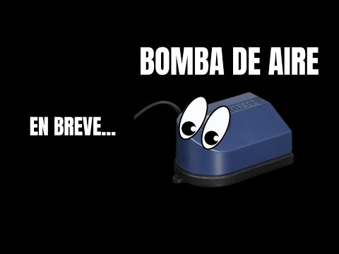 La bomba de
