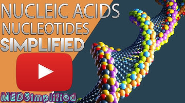 Nucleïnezuren - DNA- en RNA-structuur