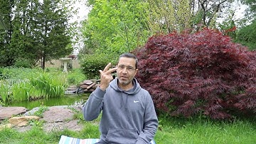 لطائف من آيات الصيام ج٦ القسم الأول