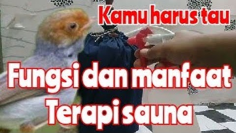 4 macam terapi sauna untuk prenjak dan manfaat terapi sauna