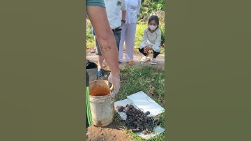 Cảnh lựa xương người 33 năm lấy cốt ngày thanh minh.