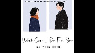 WHAT CAN I DO FOR YOU NA YOON KWON SUB INDO OST BEAUTIFUL LOVE WONDERFUL LIFE