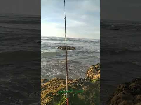 البحر بوشوك بي سلا