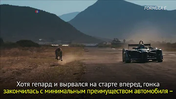 Гепард против Формулы