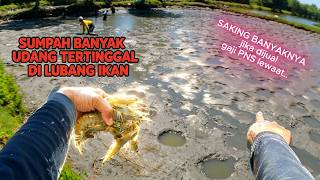 REJEKI NOMPLOK!Lubang Emas sarang ikan Isinya Udang Windu dan vanamei, Pasukan Leles saling Rebutan