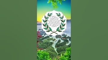 الحمد الله رب العالمين 💚⚘سورة الفاتحة حالات واتس اب دينية قصيرة Quran status 🌻