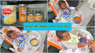WHAT MY BABY EATS IN A DAY |My 7months Baby’s meals for a Day screenshot 2