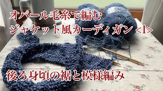 編み物とおしゃべりと【37】オパール毛糸で編むジャケット風カーディガン ＜１＞　 模様を変えました
