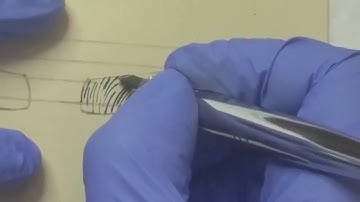 Lesson 10 - Complete Strokes For Left Eyebrow (David Nguyen, iBrows Academy)