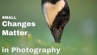 Small Changes Matter In Photography
